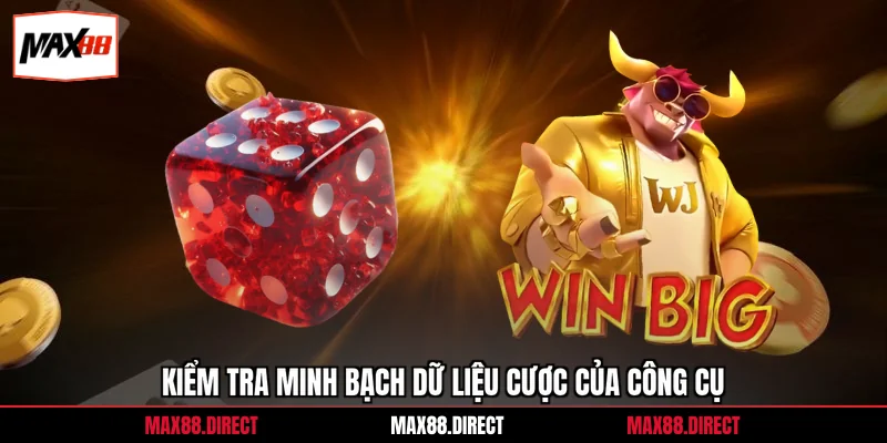 Kiểm tra minh bạch dữ liệu cược của công cụ